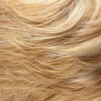 Top Form French 18" Remy Human Hair Addition by Jon Renau