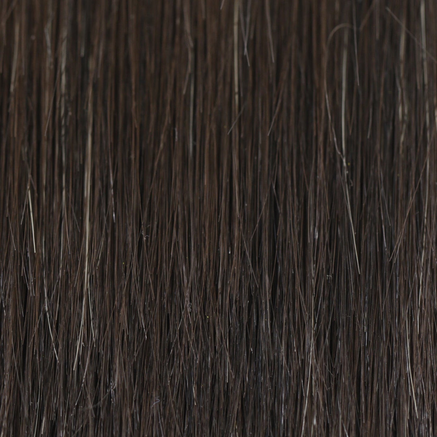 Open Box | Pixie Lite Wig by TressAllure | Heat Friendly Synthetic Hair | Average Cap | 2/4R