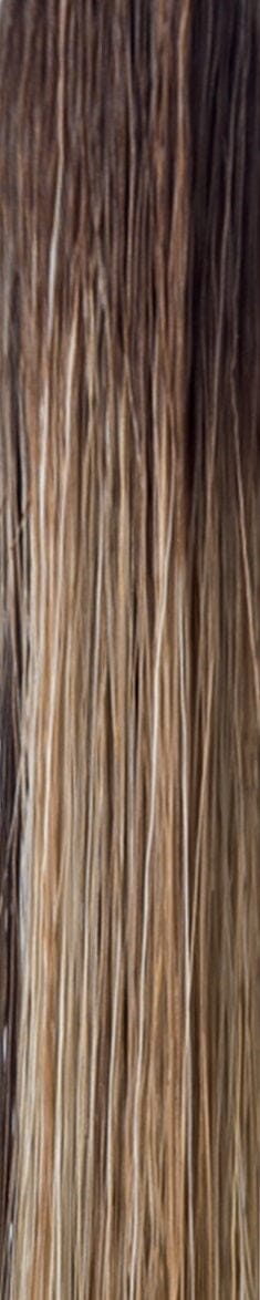 Zeal Synthetic Wig by Noriko
