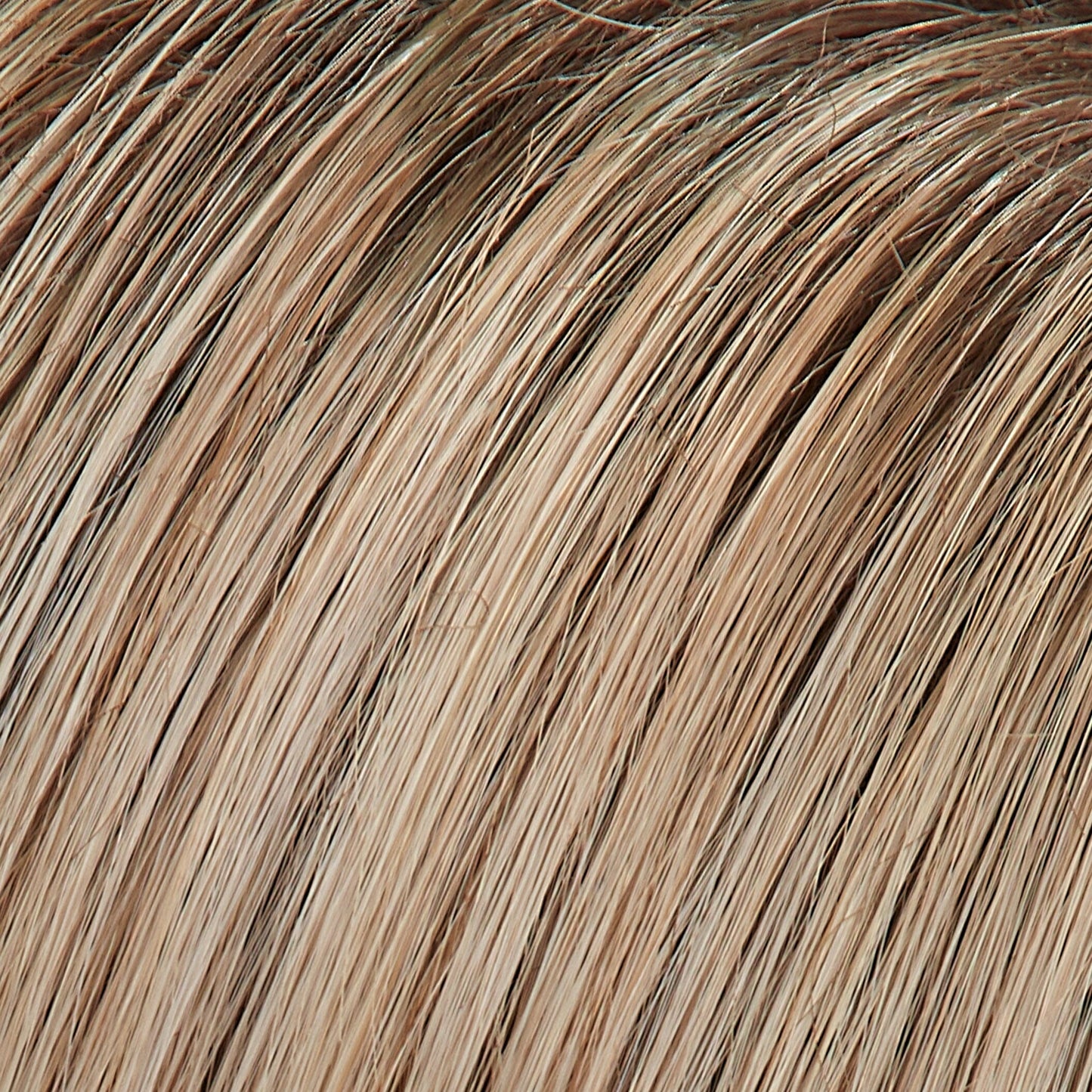 Zara Large Wig by Jon Renau