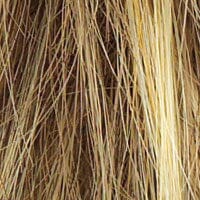 Winner Elite Monofilament Wig by Raquel Welch