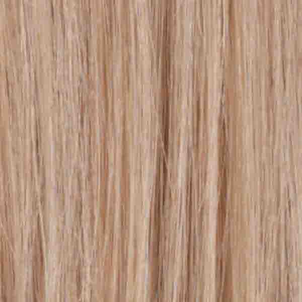 Treasure French Part Mono Top Remi Human Hair Wig by Estetica