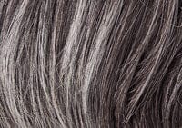 Winner Elite Monofilament Wig by Raquel Welch