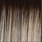 Winner Elite Monofilament Wig by Raquel Welch