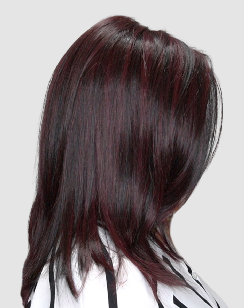 Open Box | Picture Perfect Wig by TressAllure | Average Cap | 12R
