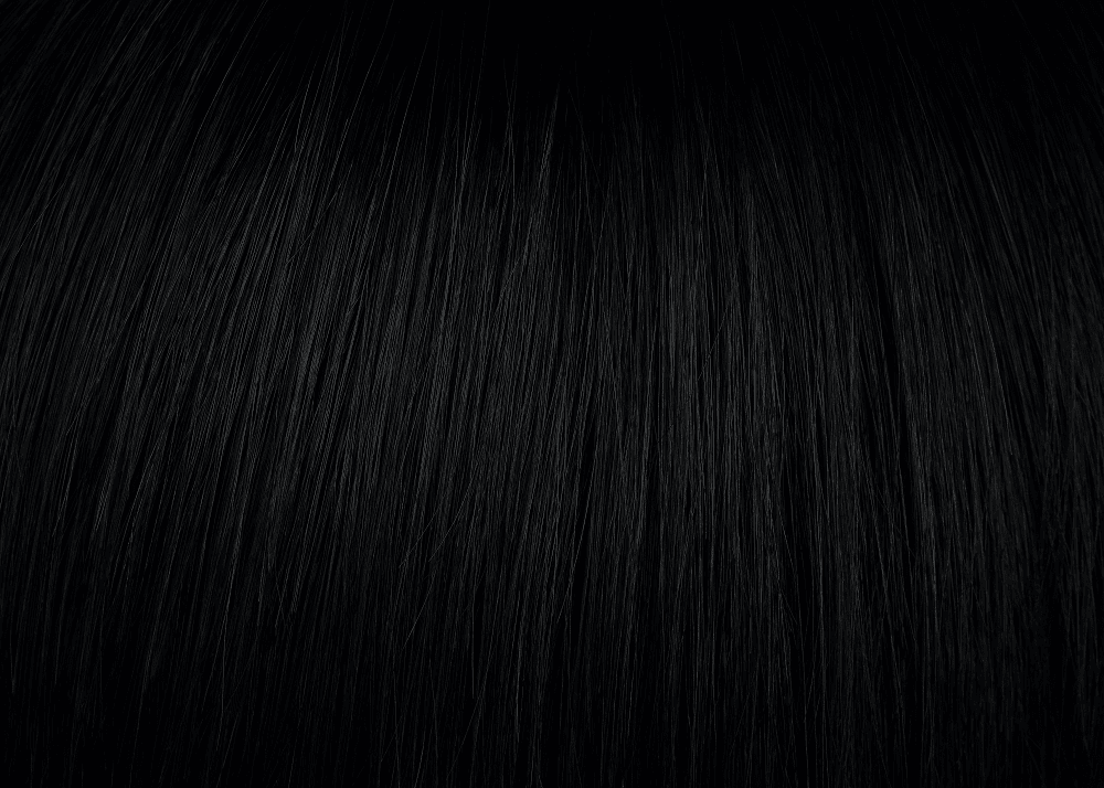 Top Billing 5" Topper by Raquel Welch | Heat Friendly Synthetic | Lace Front