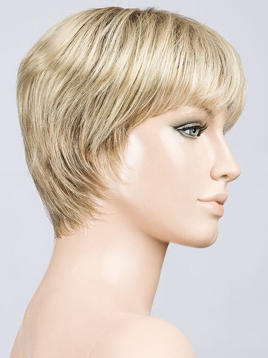 Tool Wig by Ellen Wille