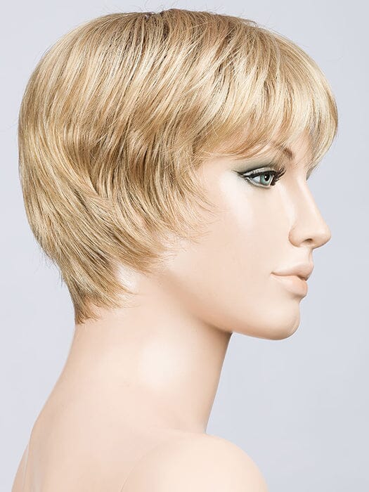 Tool Wig by Ellen Wille
