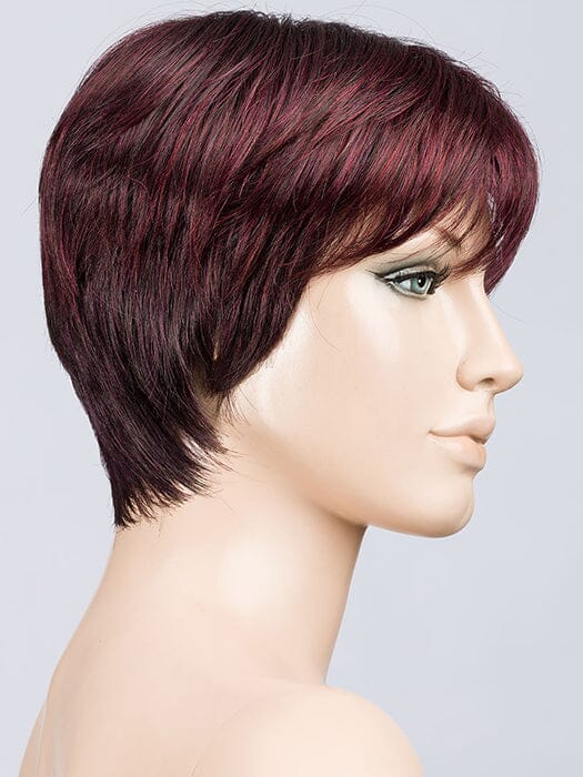 Tool Wig by Ellen Wille