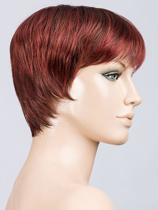 Tool Wig by Ellen Wille