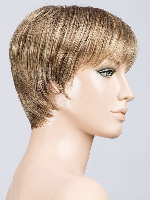 Tool Wig by Ellen Wille