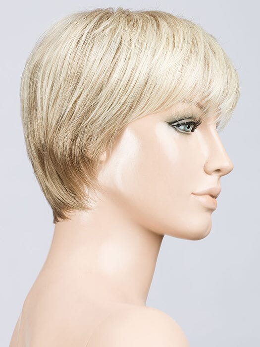 Tool Wig by Ellen Wille