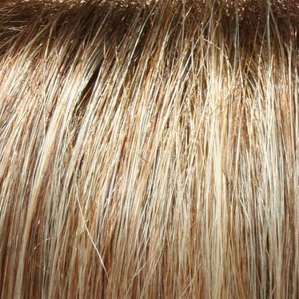 Zara Wig by Jon Renau | Synthetic Hair | Large Cap