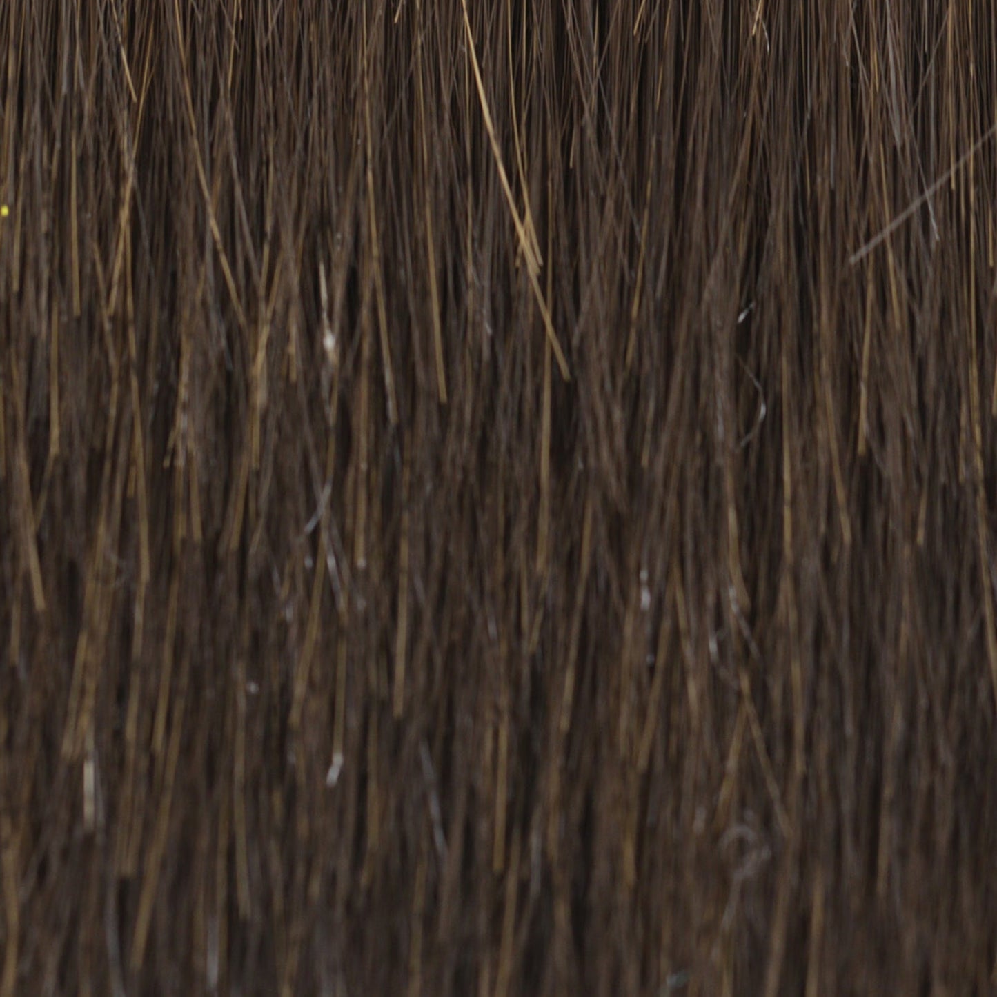 Twisted Pixie Wig by TressAllure | Heat Friendly Synthetic Hair | Average Cap