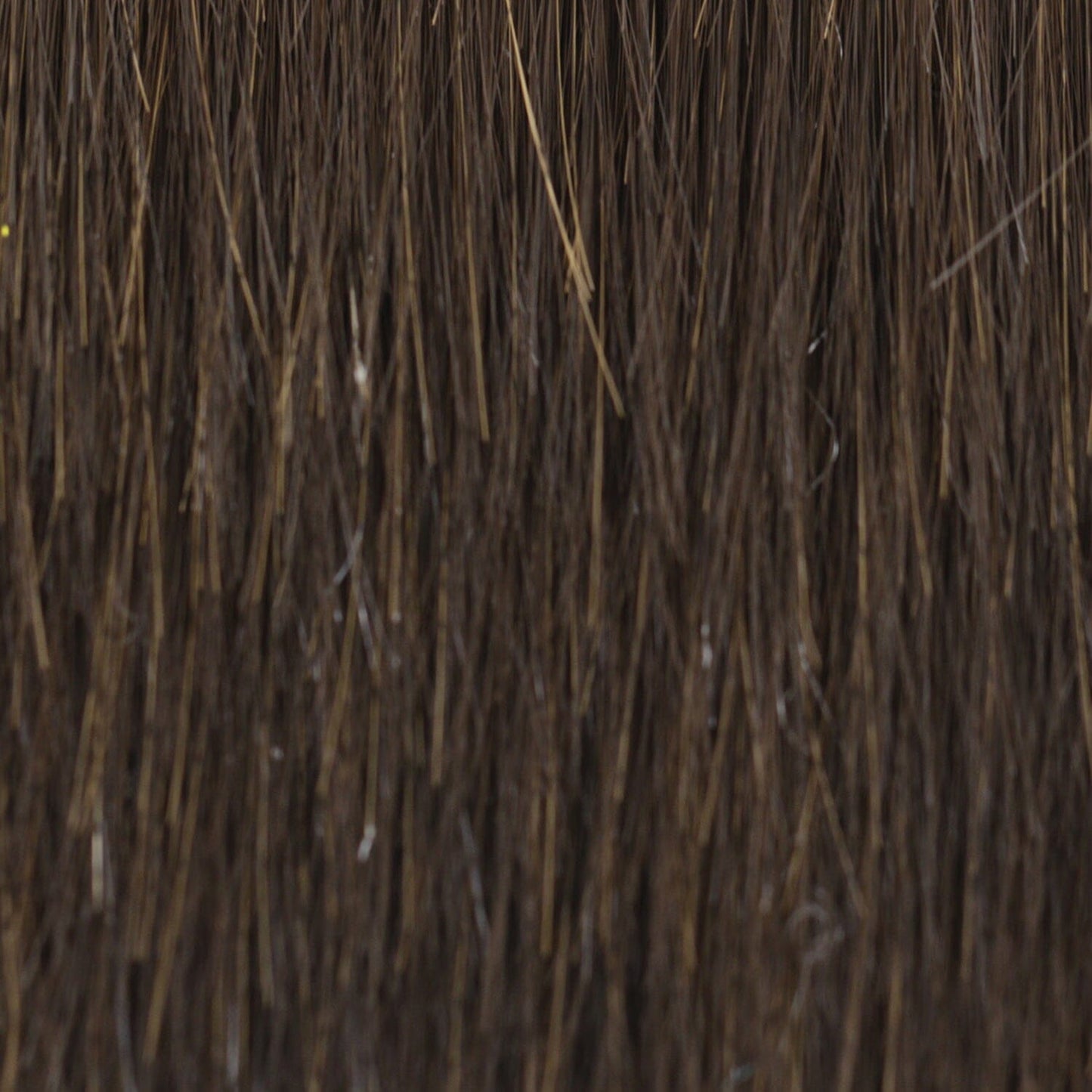 Twisted Pixie Wig by TressAllure