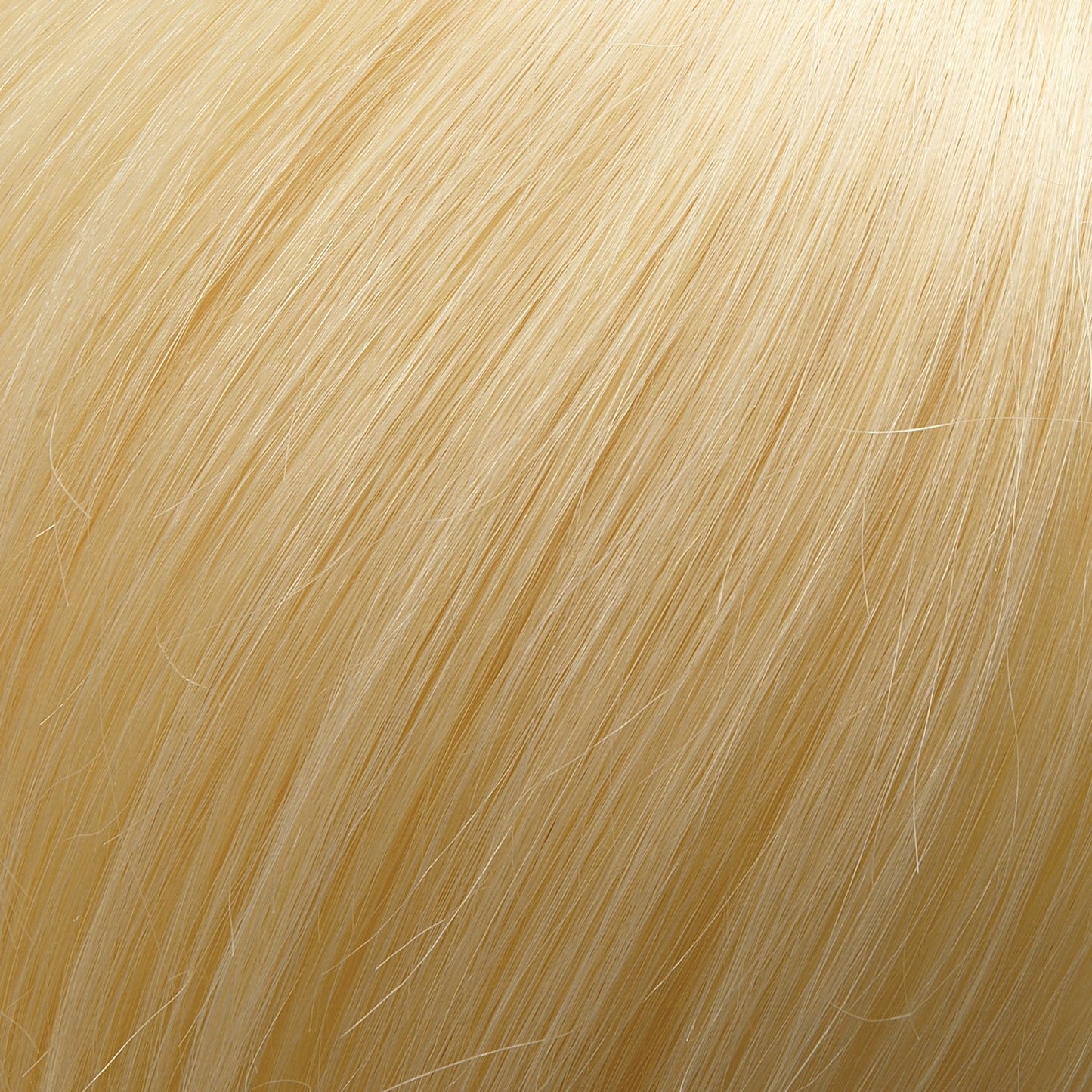 Top Smart Topper 18" by Jon Renau Renau Exclusive | Remy Human Hair