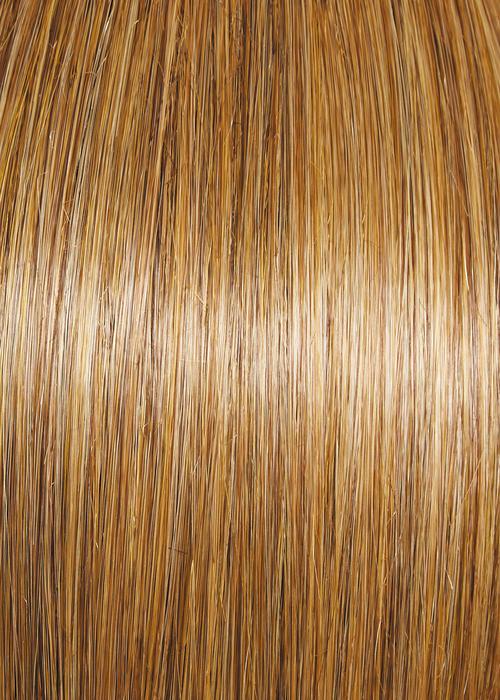 Visionary Wig by Gabor | Heat Friendly Synthetic Hair | Average Cap