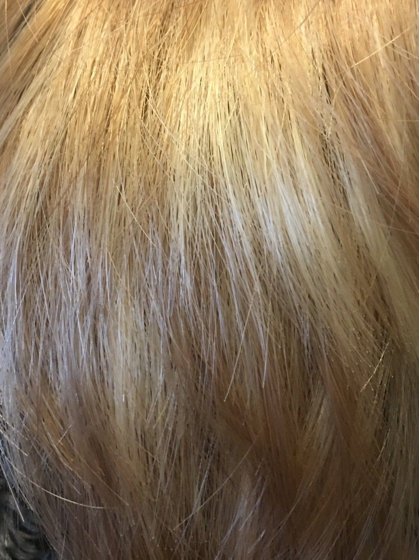 Yuri Wig by Envy  | Human Hair \ Heat Friendly Synthetic Fiber Blend
