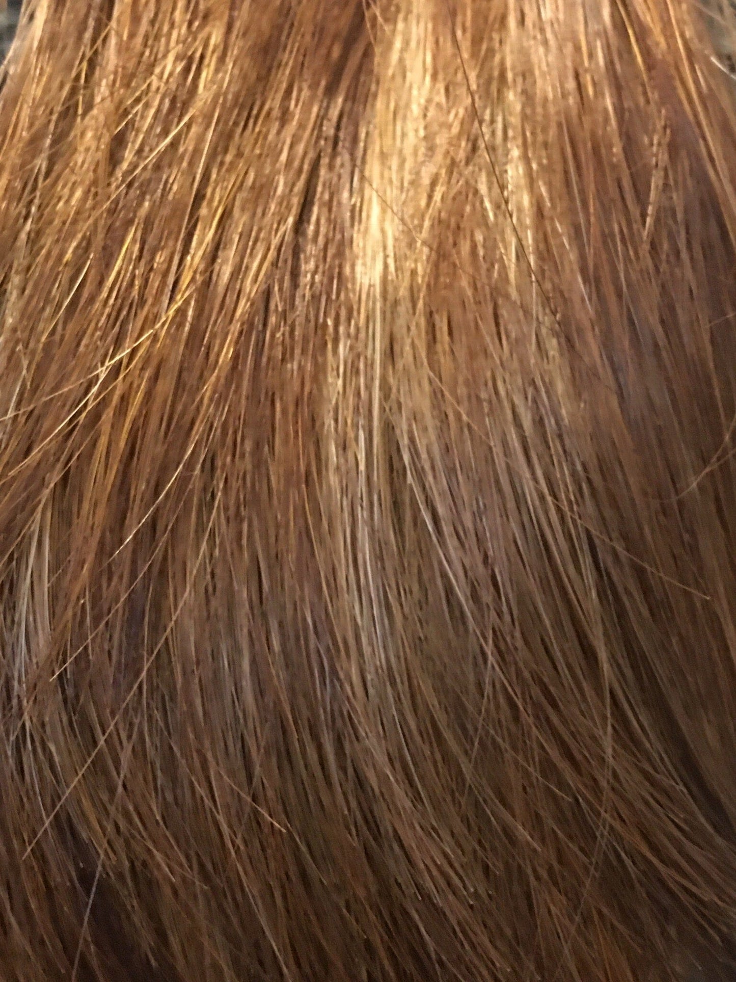 Yuri Wig by Envy  | Human Hair \ Heat Friendly Synthetic Fiber Blend