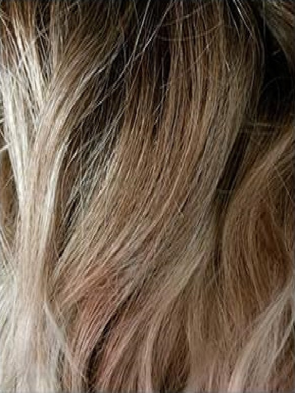 Zeal Wig by Noriko | Synthetic Hair | Average Cap