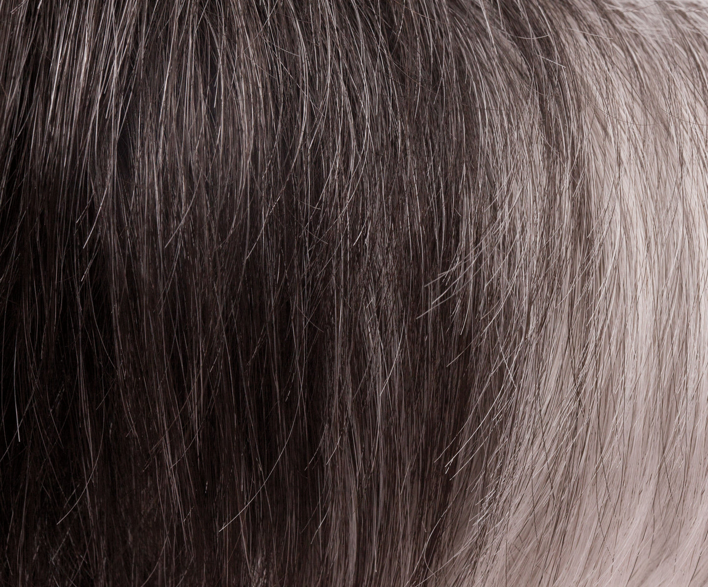 Zoe Short Pixie Wig by Rene of Paris