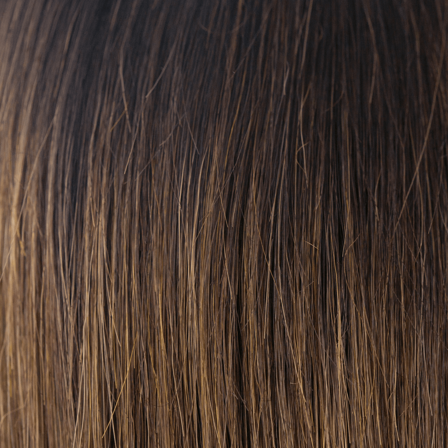 Zeal Synthetic Wig by Noriko