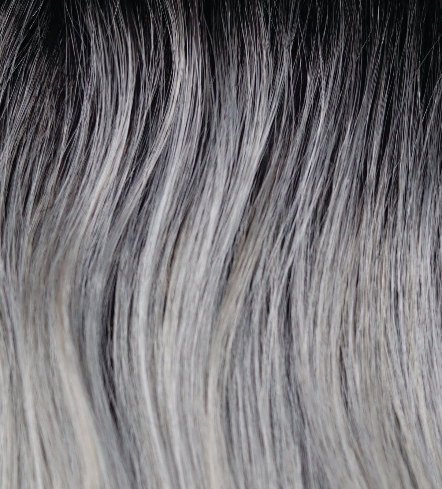 Zane Synthetic Wig by Noriko