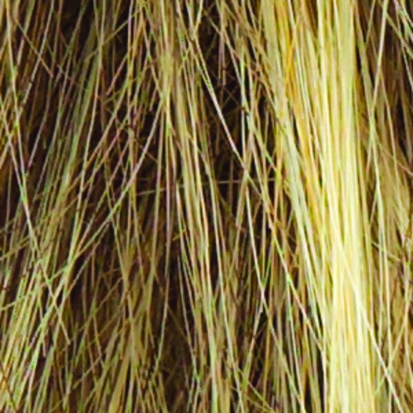 Voltage Wig by Raquel Welch | Synthetic Hair | Average Cap