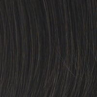Winner Petite Wig by Raquel Welch