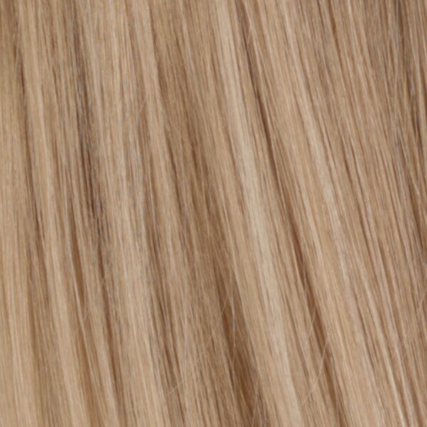Treasure French Part Mono Top Remi Human Hair Wig by Estetica