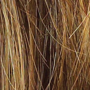 Winner Elite Monofilament Wig by Raquel Welch