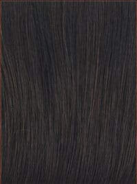 Well Played Wig by Raquel Welch
