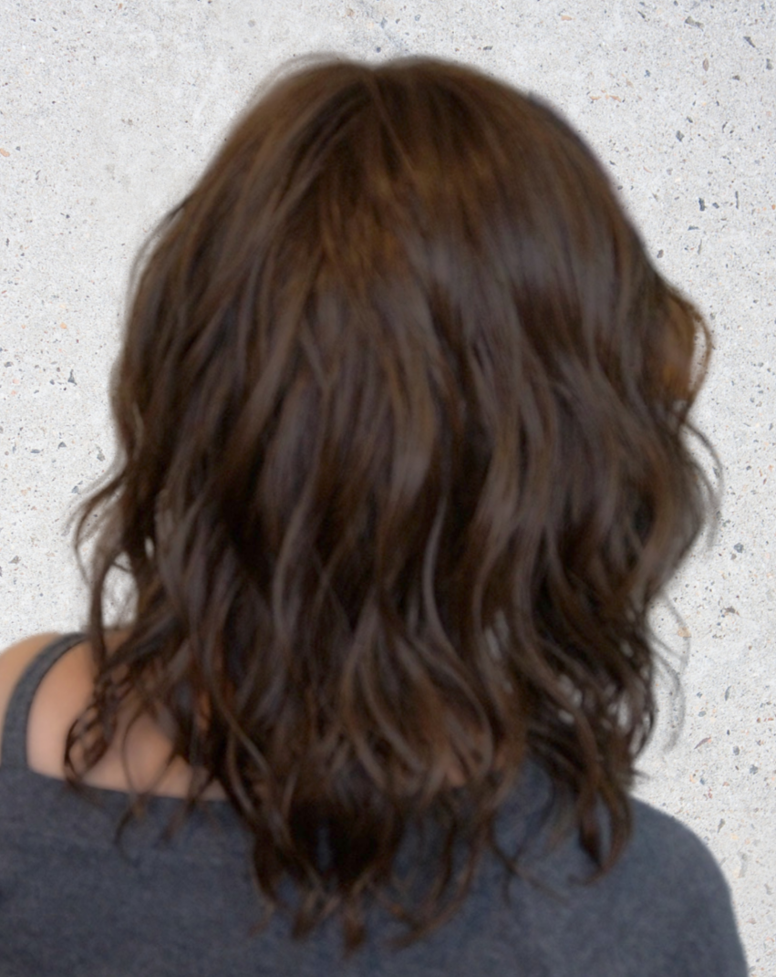 Wavy Day Wig by Raquel Welch | Heat Friendly Synthetic Hair | Average Cap