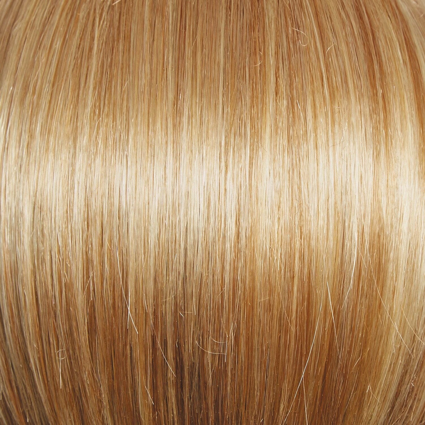 Winner Premium Wig by Raquel Welch | Lace Front | Mono Crown