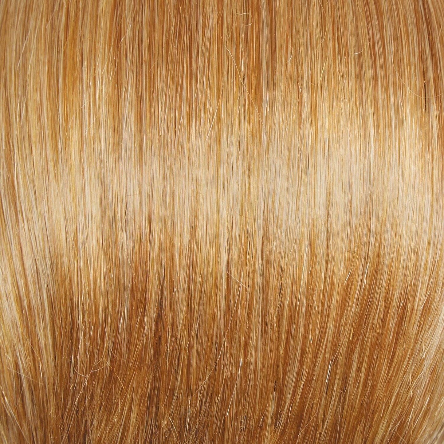 Winner Premium Wig by Raquel Welch | Lace Front | Mono Crown
