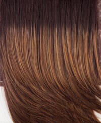 Winner (Average Size)  Wig by Raquel Welch
