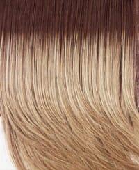 Winner (Average Size)  Wig by Raquel Welch