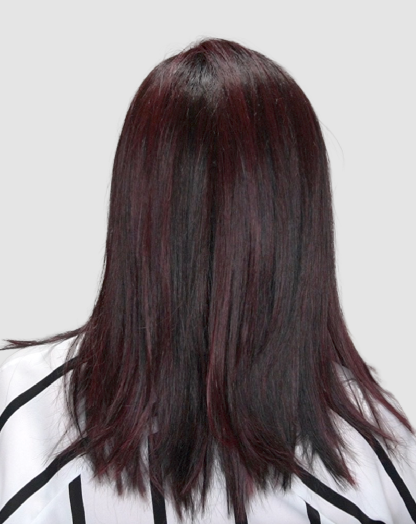 Open Box | Picture Perfect Wig by TressAllure | Average Cap | 12R