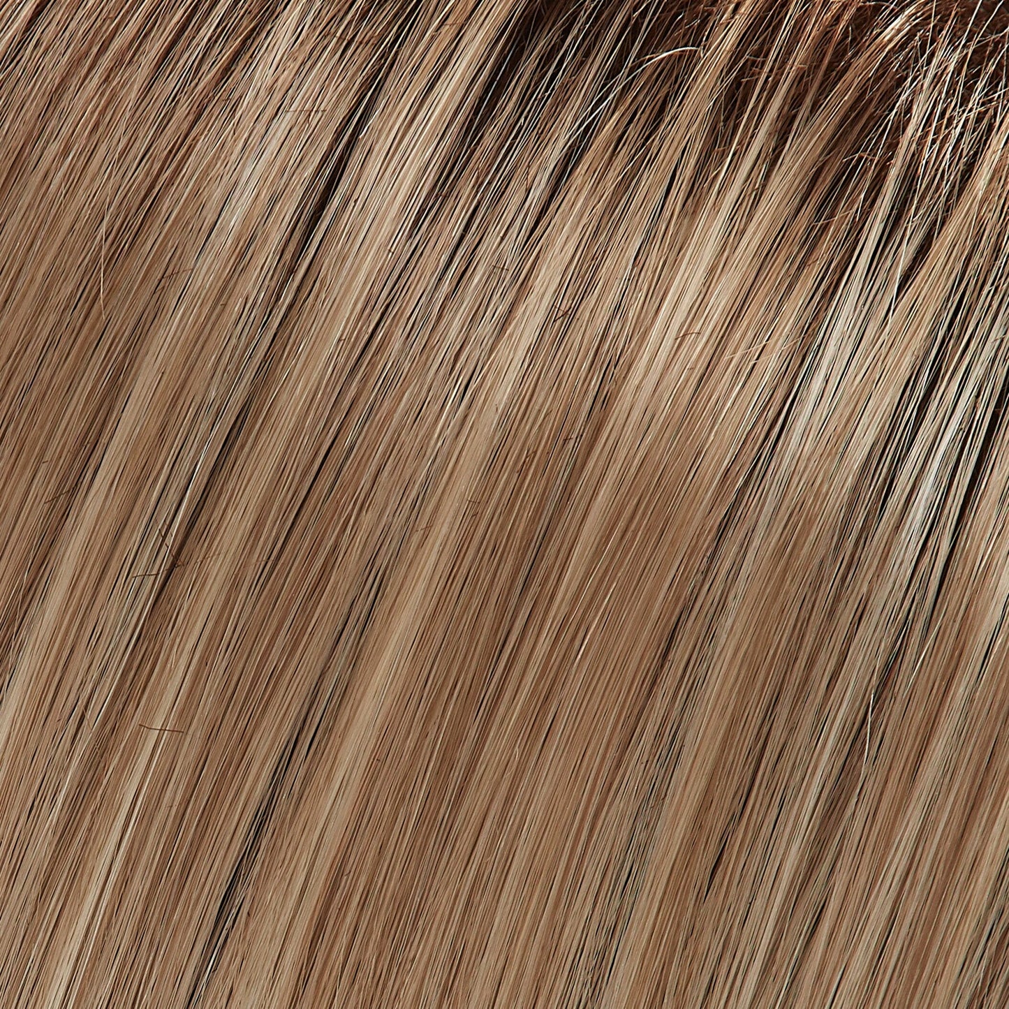 Zara Large Wig by Jon Renau