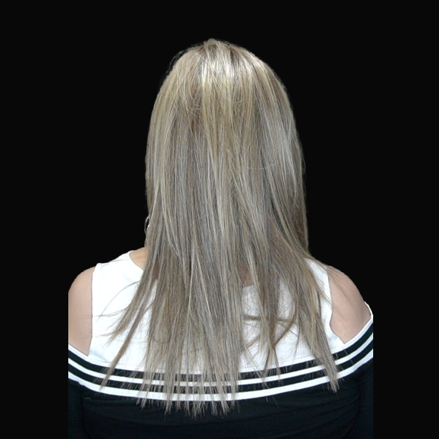 Well Played Wig by Raquel Welch | Heat Friendly Synthetic Hair | Average Cap