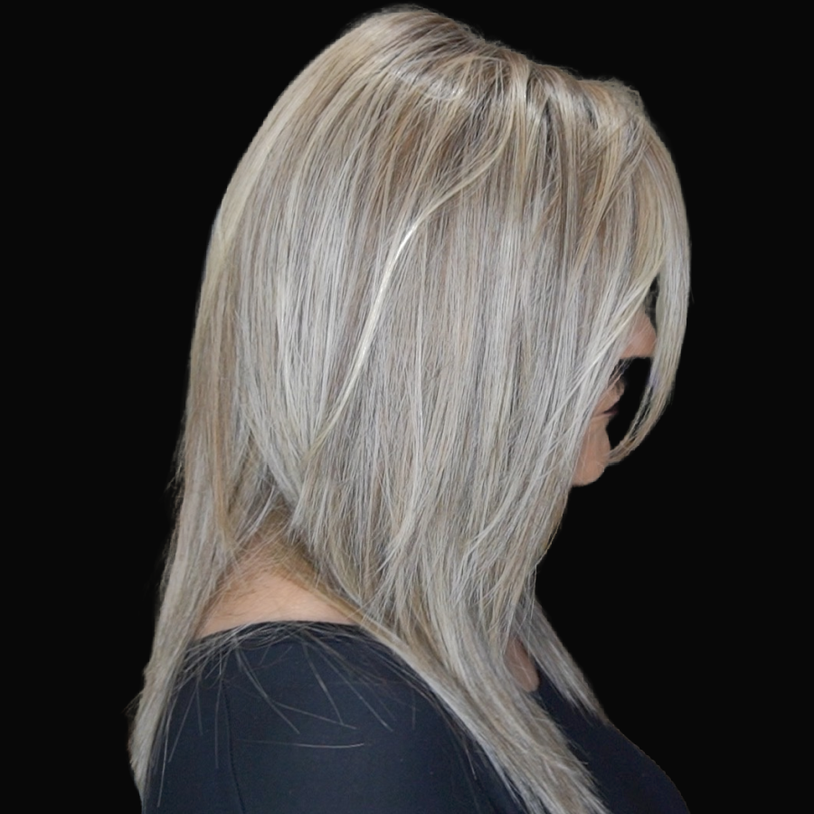 Well Played Wig by Raquel Welch | Heat Friendly Synthetic Hair | Average Cap