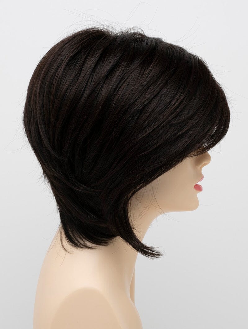 Whitney Blended Fiber (Human Hair and Heat Friendly Synthetic) Wig by Envy