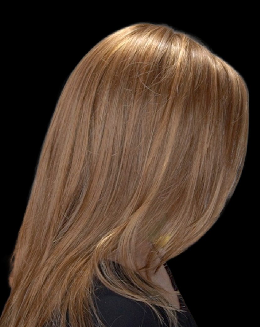 Zara Lite HT Wig by Jon Renau | Synthetic Hair | Average Cap