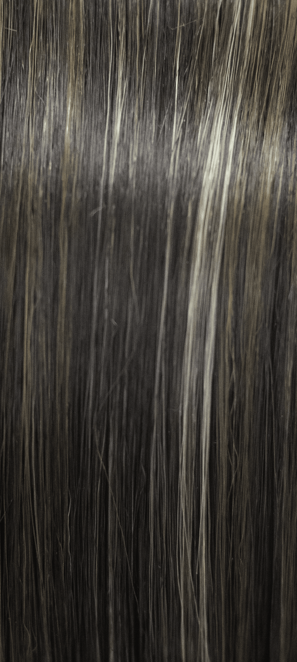 Zane Synthetic Wig by Noriko