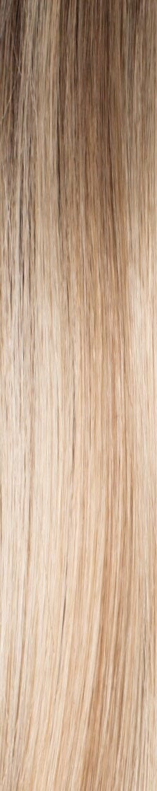 Zeal Synthetic Wig by Noriko