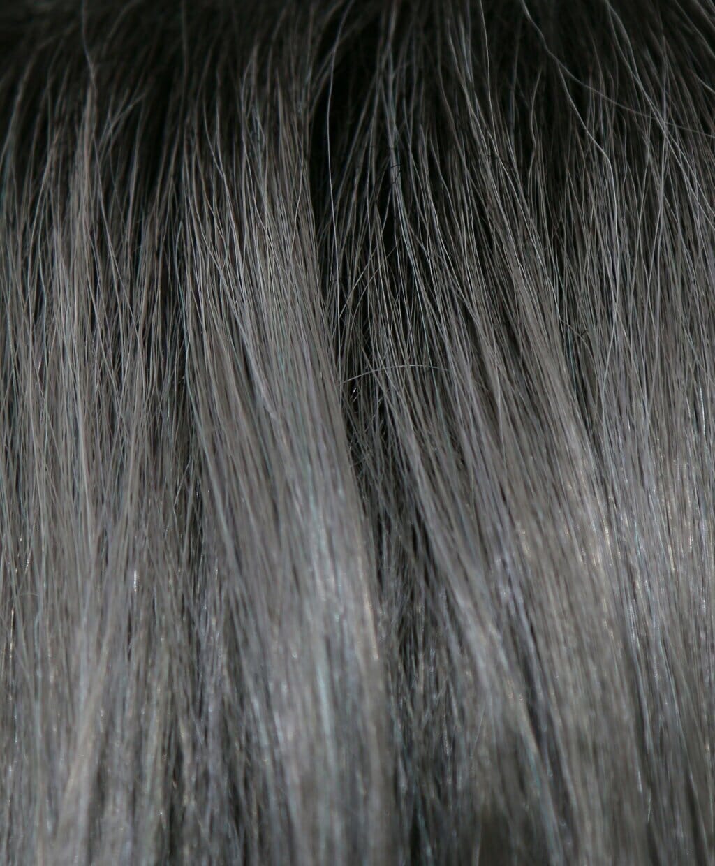 Zion Lace Front Wig by Noriko | Discontinued | All Sales Final